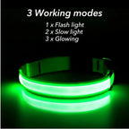 Adjustable Glowing LED Collar for Dogs and Cats - view 2