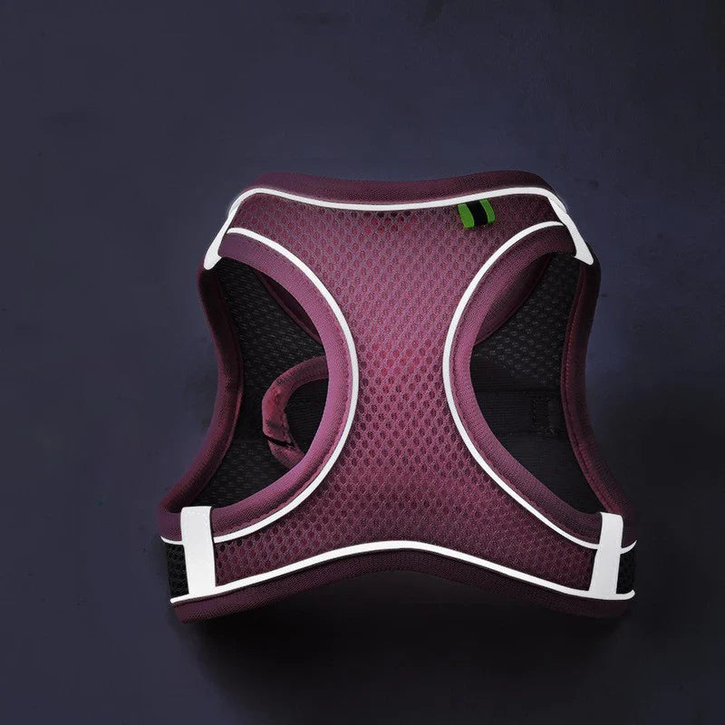 Reflective Breathable Harness Vest and Leash for Cats and Dogs - view 3