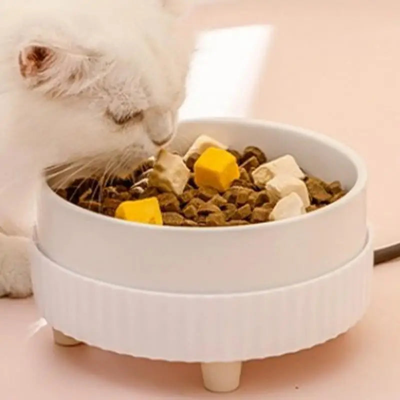Rechargeable Heated Water Bowl for Dogs and Cats - view 4