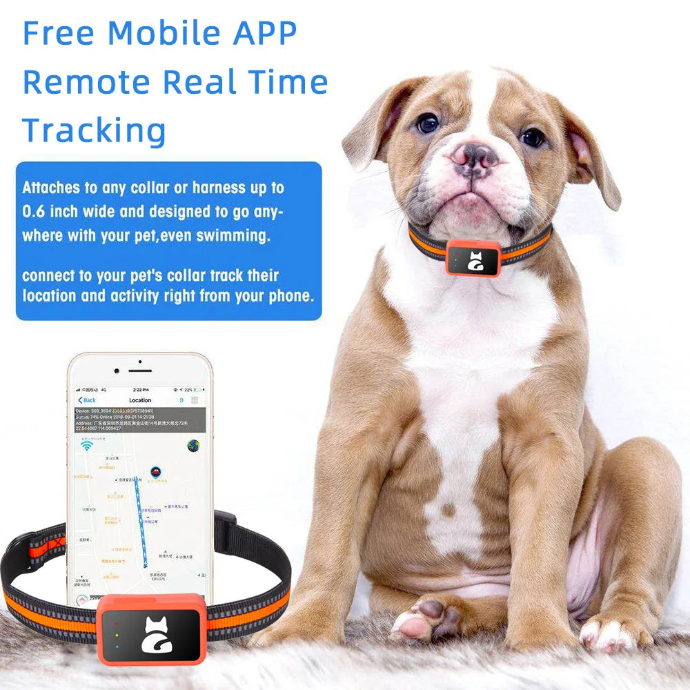 4G Smart Dog Collar Holder GPS Tracker for pet Waterproof Free SIM Cat Tracking Device Pet Locator with Find My for iOS Android