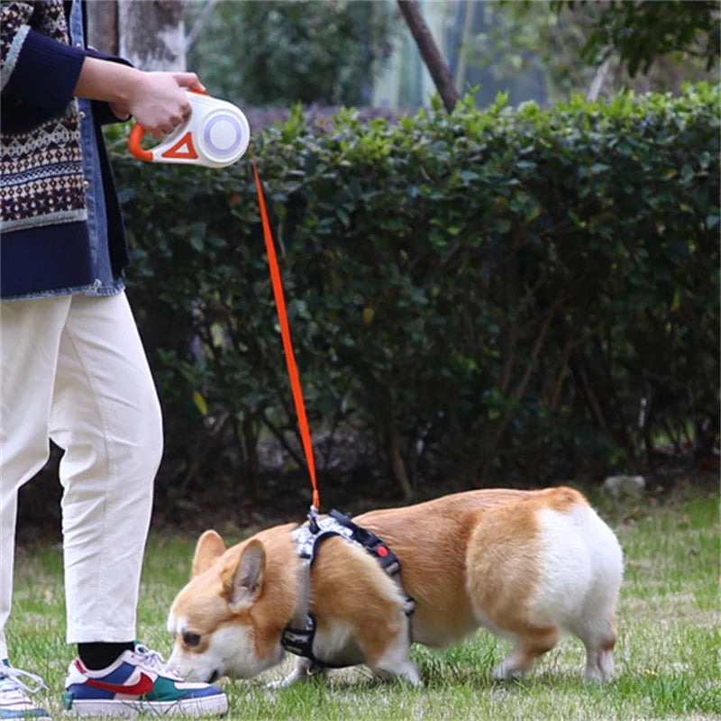 5m Retractable Dog Leash with LED Flashlight - view 3