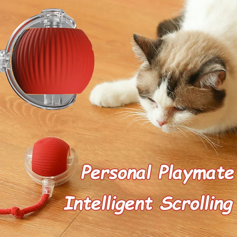 Rechargeable Rolling Ball Cat Toy with Faux Tail - view 3