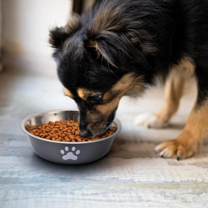 Dog Bowls Stainless Steel Dogs Feeding Bowls With Non-Slip Silicone Sole Dog Food Water Bowl Pet Bowl Dog Dishes For Dog Cat Pet