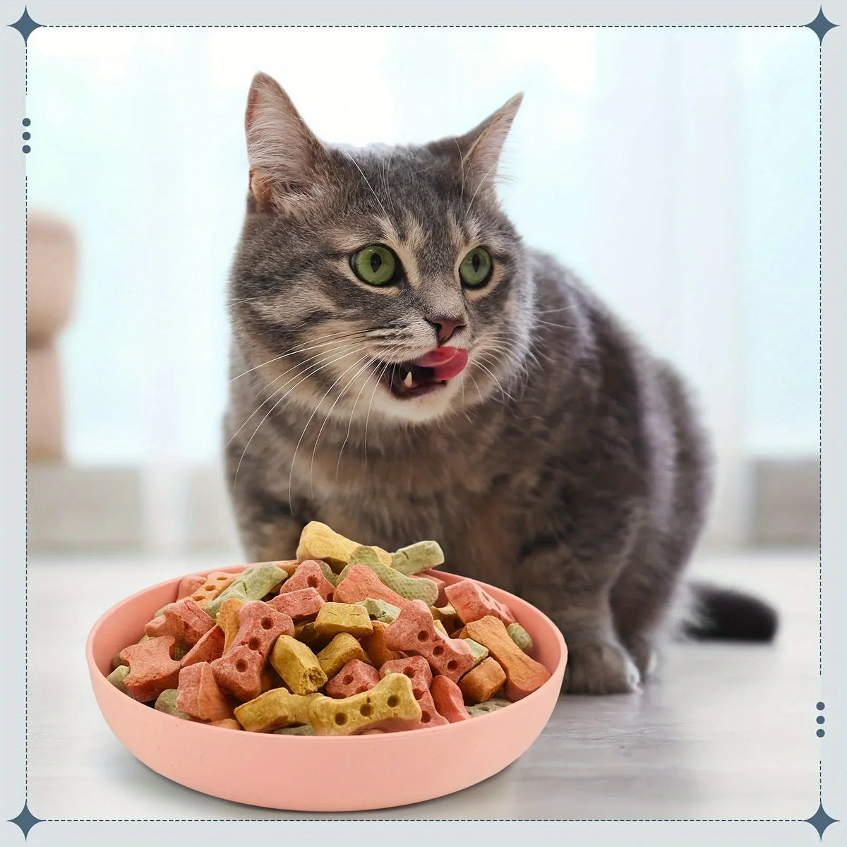 Shallow Non-Slip Cat Bowls for Kittens, 4 Pack - view 3