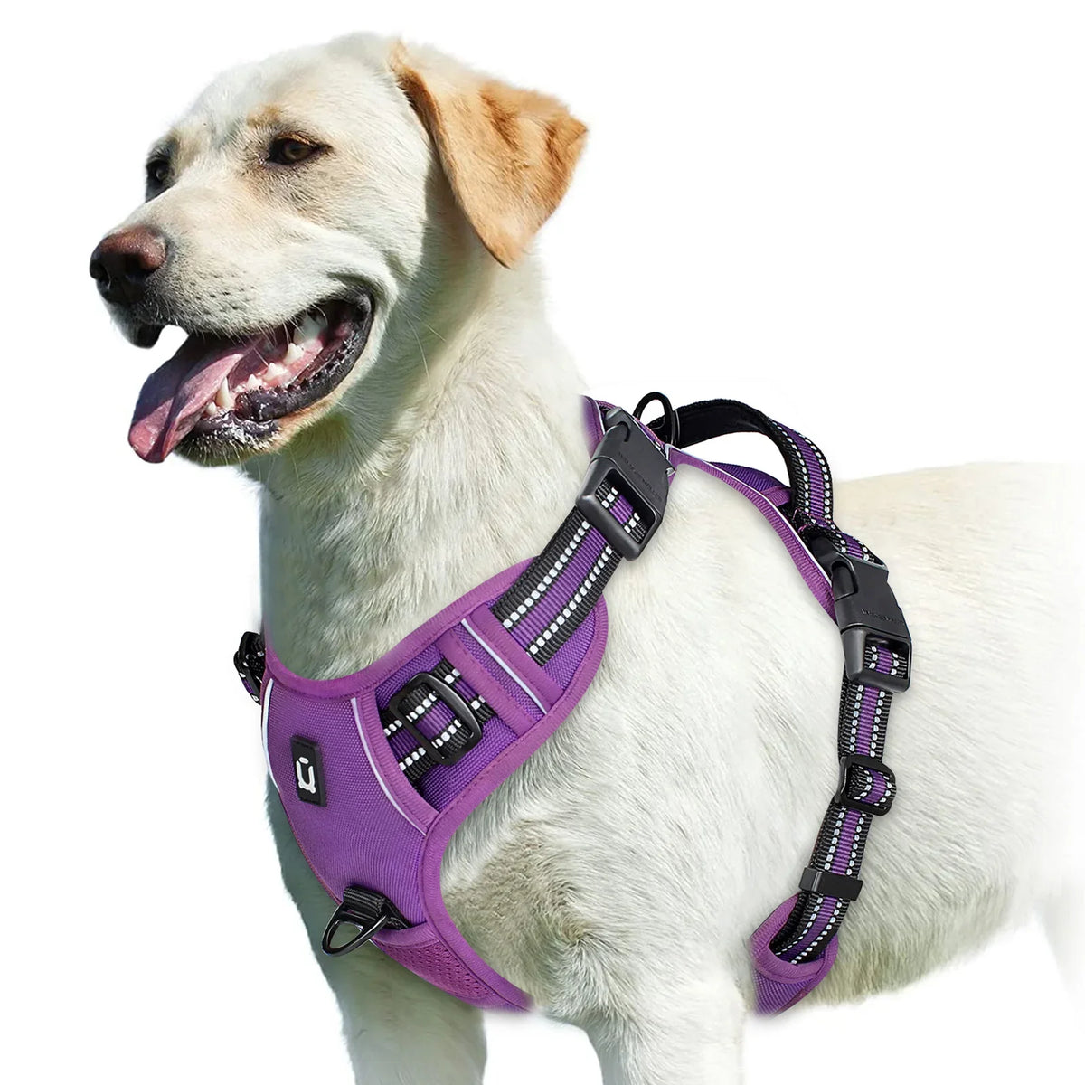 No-Pull Padded Dog Harness with Handle - view 7