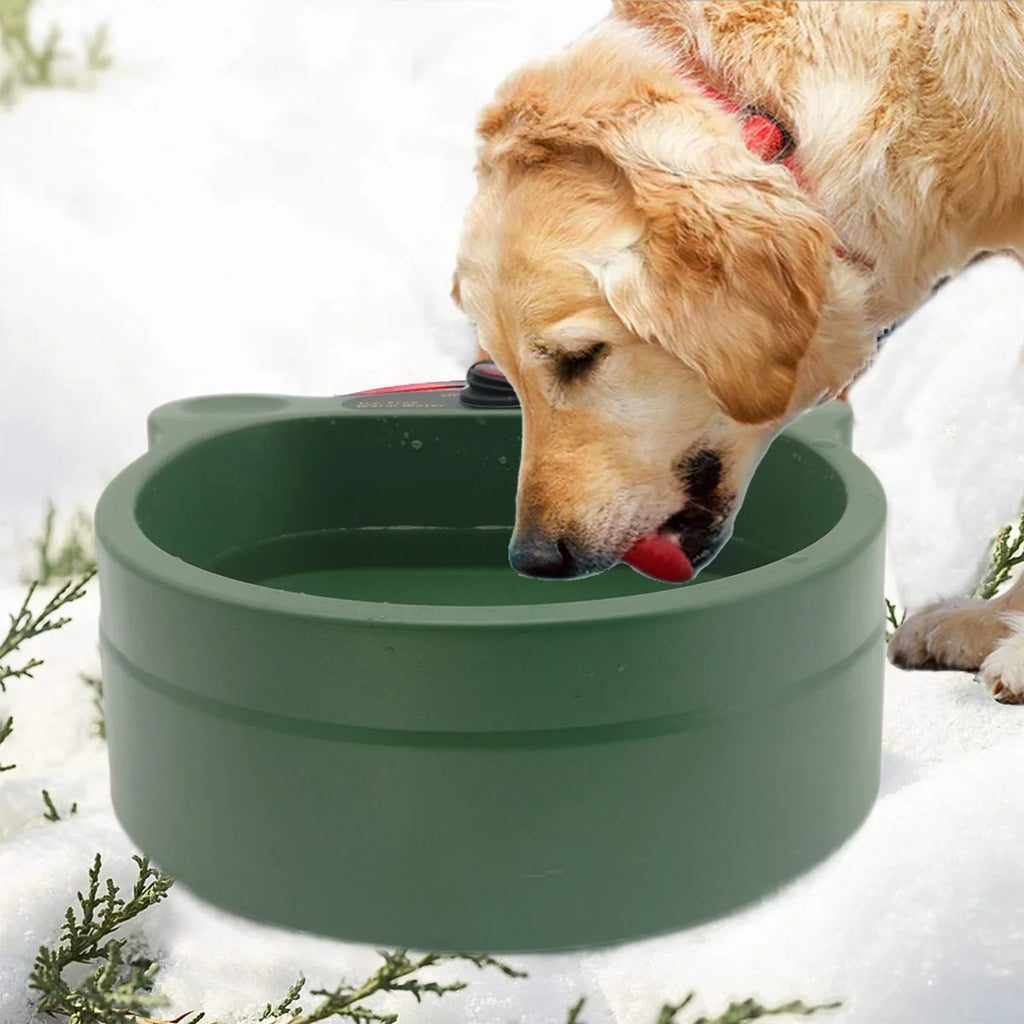 Electric Heated Dog Water Bowl