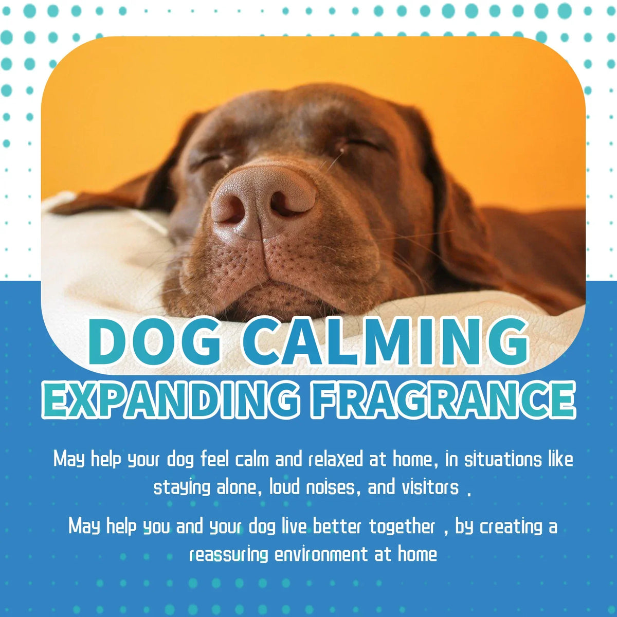 Calming Diffuser for Dogs and Cats - view 5