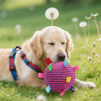 Plush Tug-of-War Ball Chew Toy for Dogs