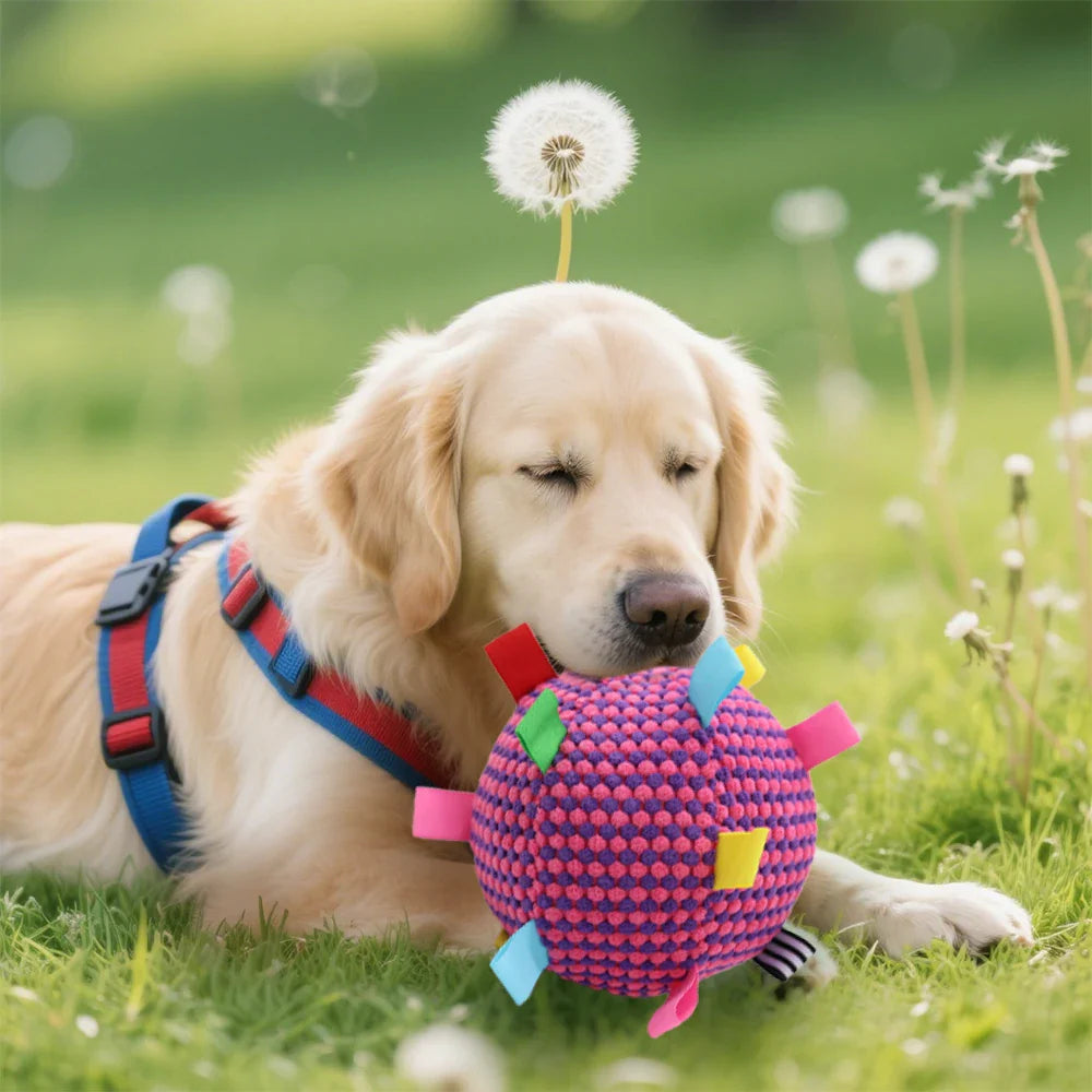 Plush Tug-of-War Ball Chew Toy for Dogs