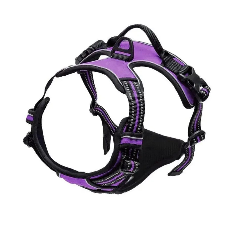 Leather Dog Collar, Harness and Leash Set - view 8