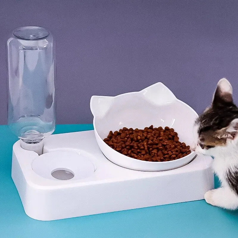 Tilted Pet Feeding Bowl, Cervical Protection