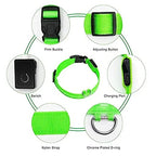 Flashing LED Night Safety Collar for Small Dogs - view 3