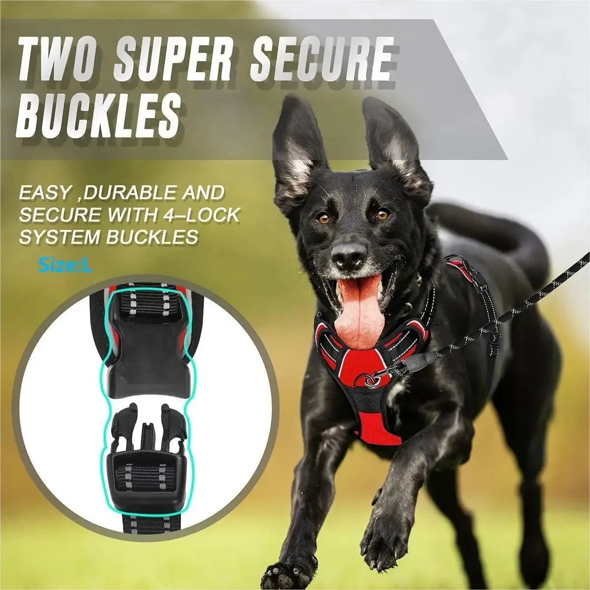 Leather Dog Collar, Harness and Leash Set - view 5
