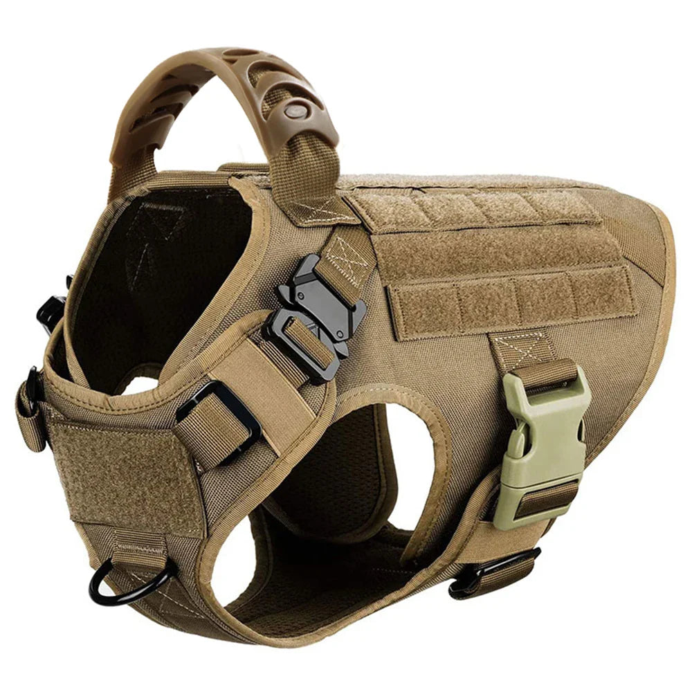 Training Vest Harness and Leash Set for Large Dogs