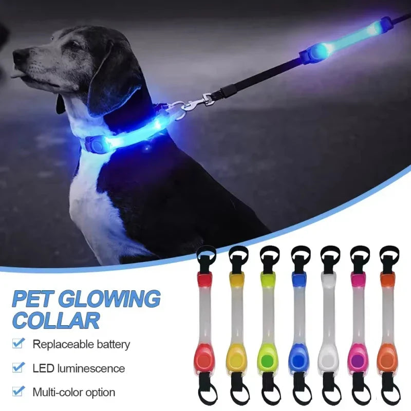 Night running pet dog safety harness collar for preventing loss. Multi-color pendant. Waterproof outdoor warning LED flashing li
