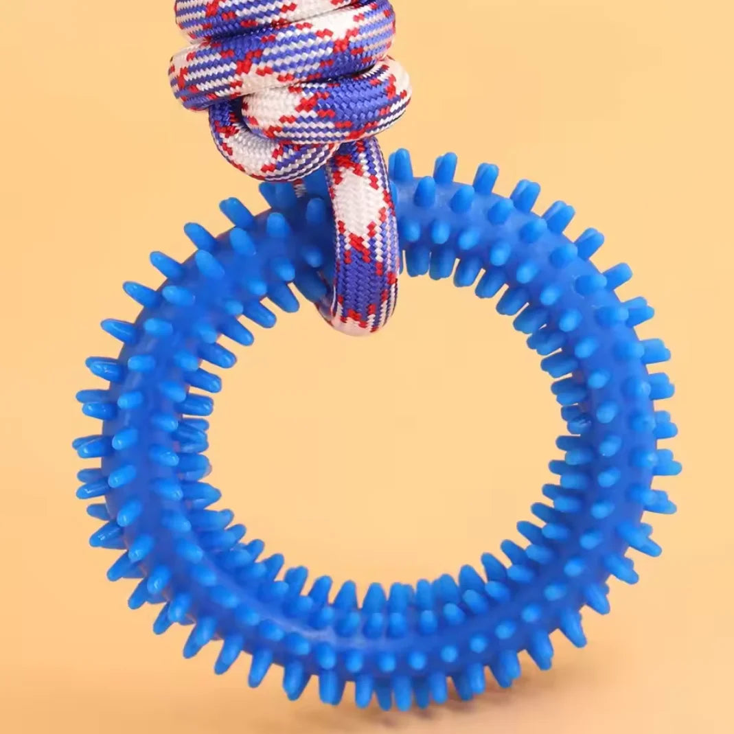 Spiked Ring Interactive Dog Training Toy