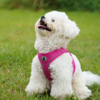 Reflective Adjustable Dog Harness and Leash Set