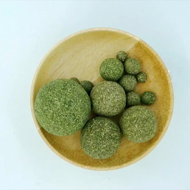 Edible Catnip Ball Cat Toy