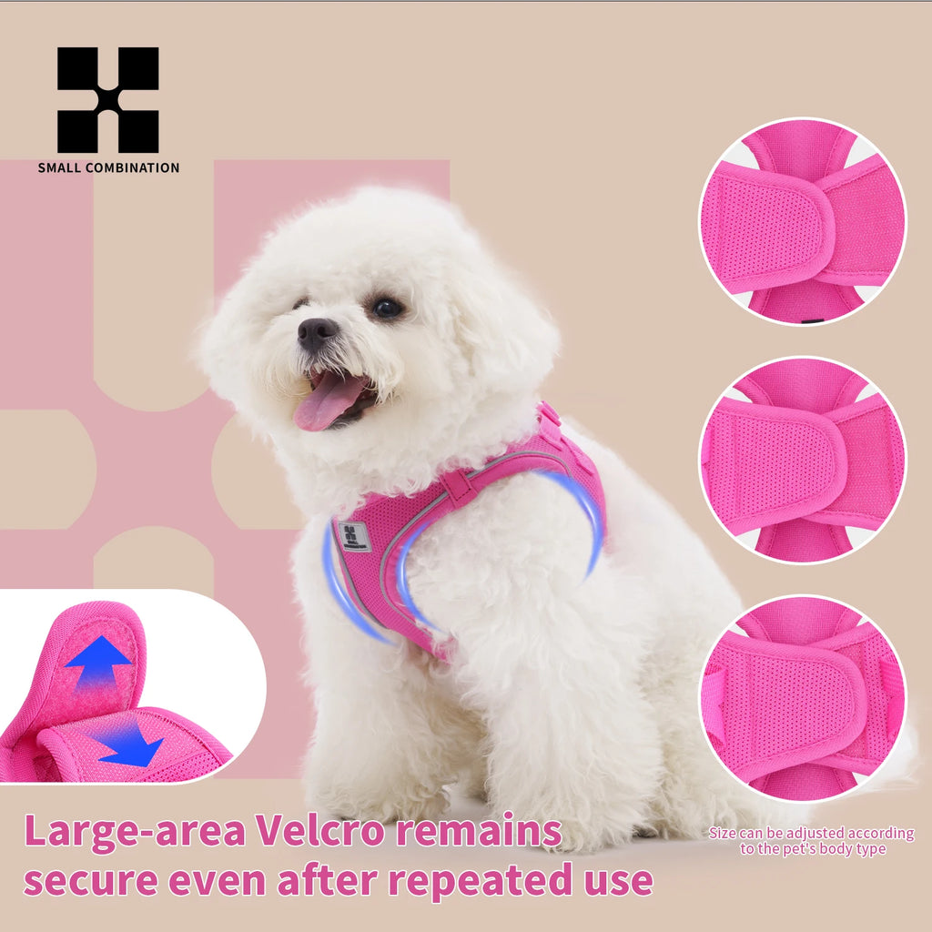 Reflective Adjustable Dog Harness and Leash Set