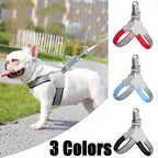 Adjustable Reflective Dog Harness for Hiking