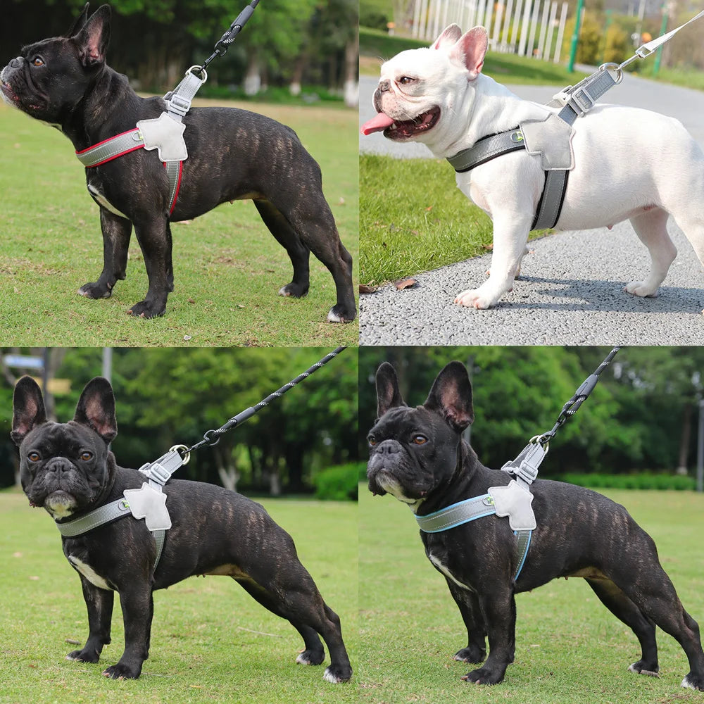Adjustable Reflective Dog Harness for Hiking