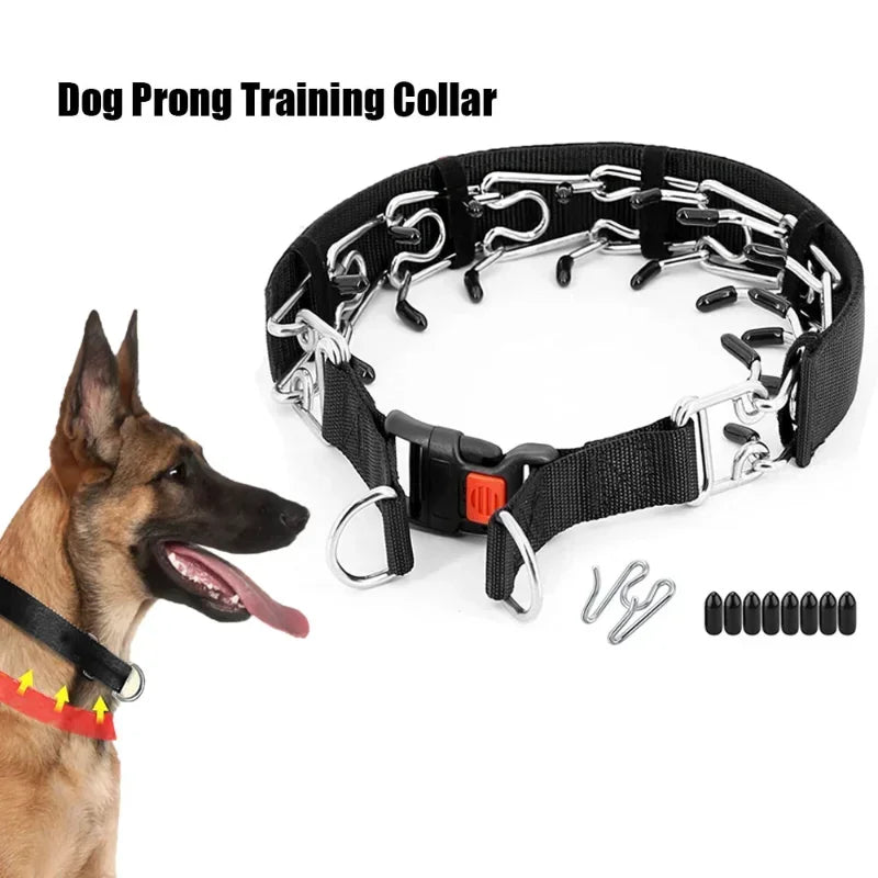 Prong Training Dog Collar with Quick-Release Buckle