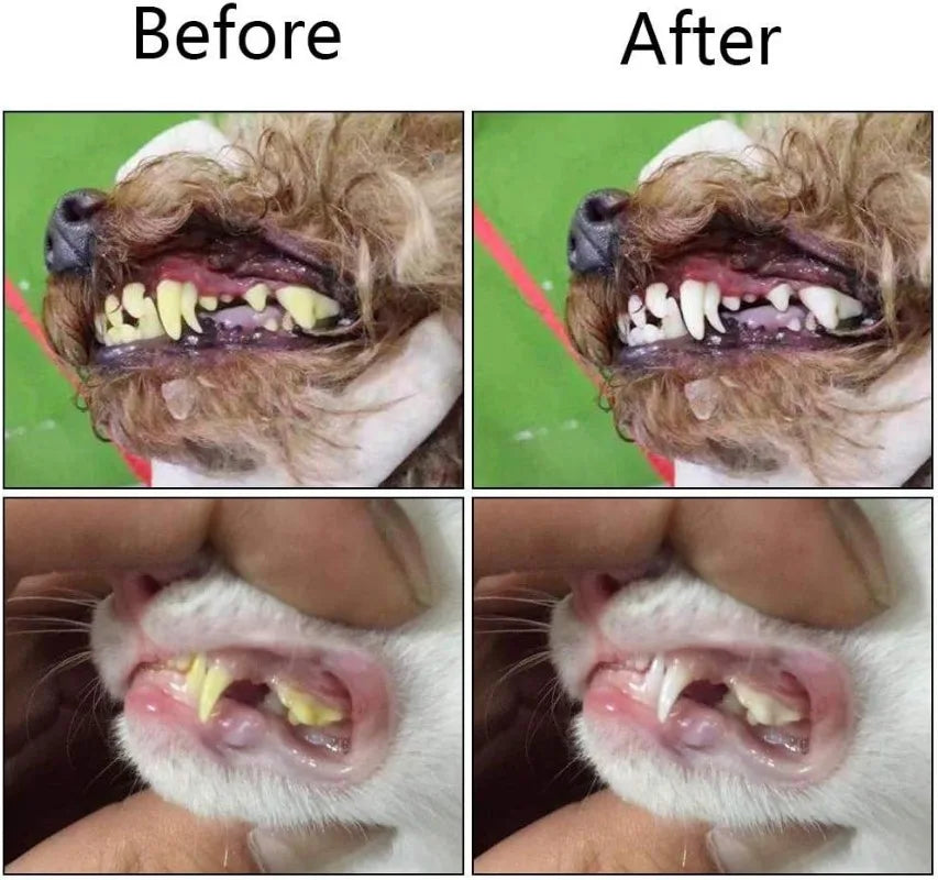 Silicone Finger Toothbrush for Dogs and Cats