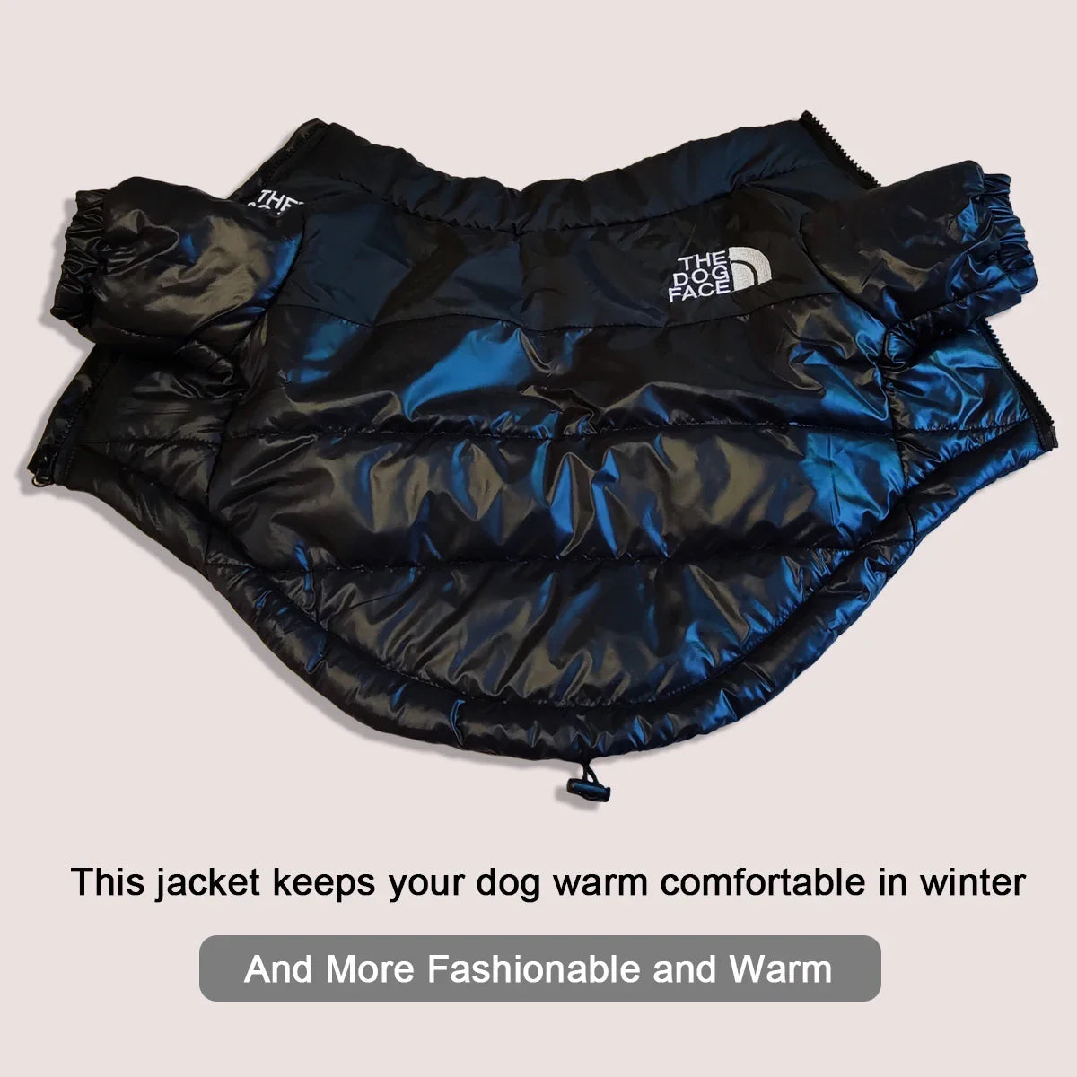 Reflective Windproof Winter Jacket for Dogs - view 4