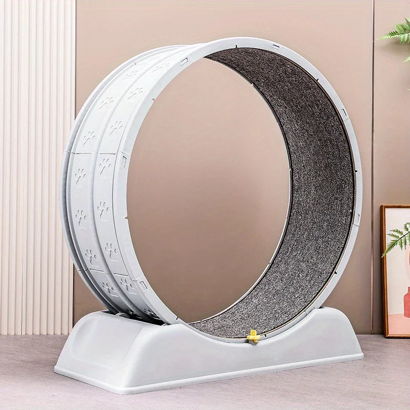 Ultra-Quiet Cat Exercise Wheel Toy with Lock - view 3