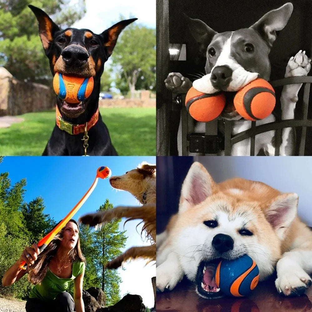Durable Rubber Fetch Ball for Dogs
