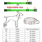 Flashing LED Night Safety Collar for Small Dogs - view 2