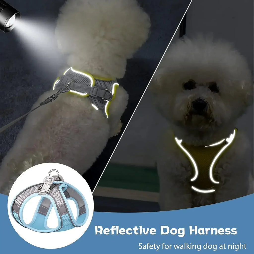 Escape-Proof Harness and Leash Set for Small Pets