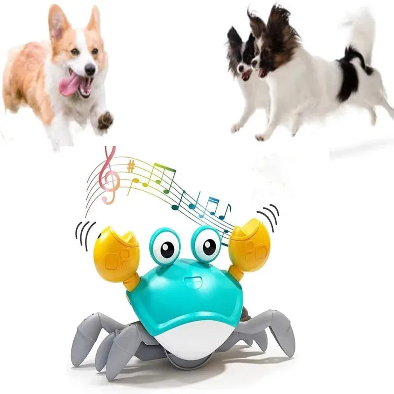 Musical Dancing Crab Toy for Cats and Dogs