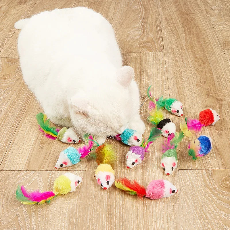 Rainbow Feather Mouse Cat Toy