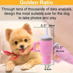 Squeaky Plush Cup Dog Toy for Large Breeds - view 4