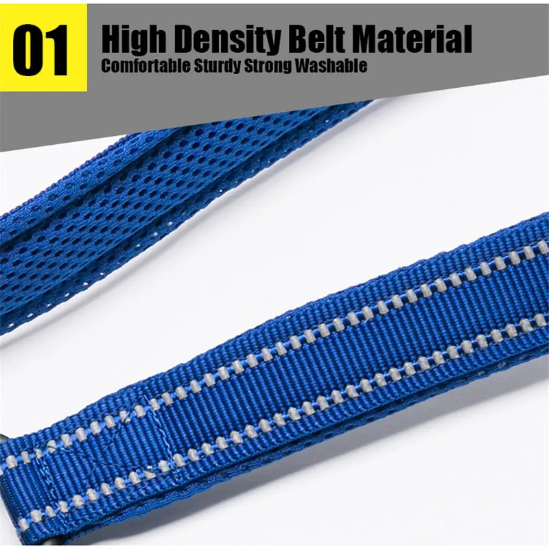 Truelove Padded Reflective Pet Leash