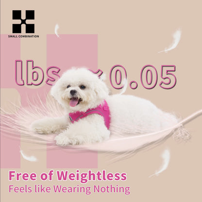 Dog Harness Leash Set for Small Medium Dog Adjustable Reflective Puppy Cat Harness pet Vest Chihuahua Dachshund Outdoor Walking