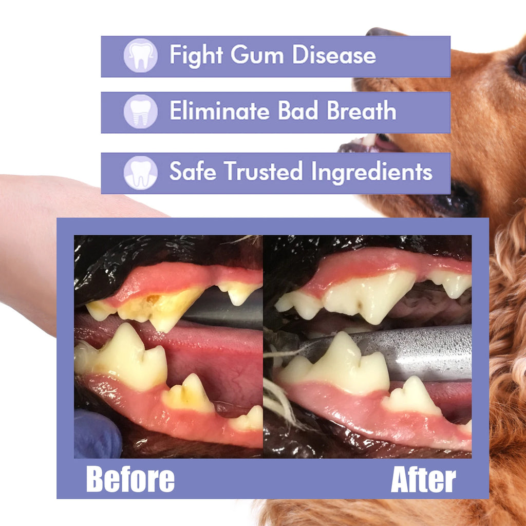 Pet Dental Spray for Fresh Breath and Plaque Control