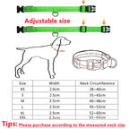 Adjustable Glowing LED Collar for Dogs and Cats - view 6