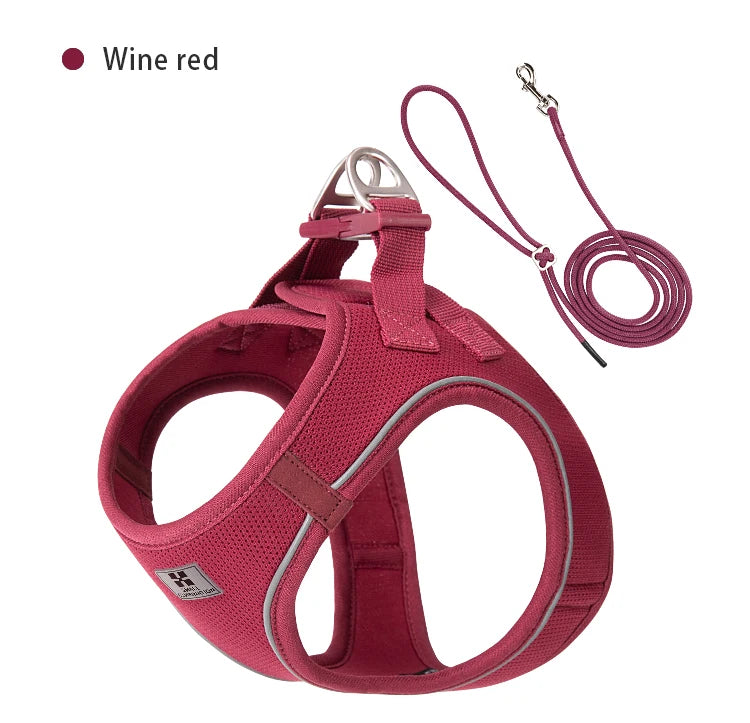 Reflective Adjustable Dog Harness and Leash Set