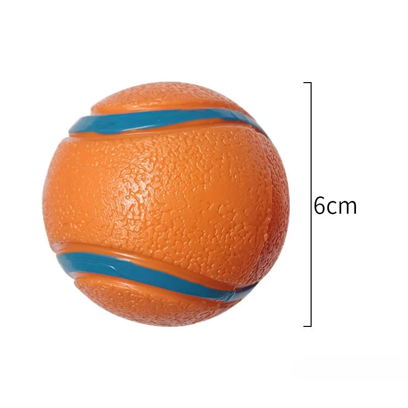 Durable Rubber Fetch Ball for Dogs