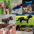 Training Vest Harness and Leash Set for Large Dogs