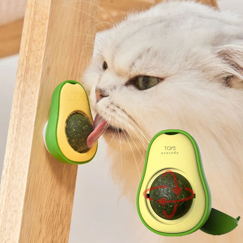 Wall-Mounted Catnip Ball Toy