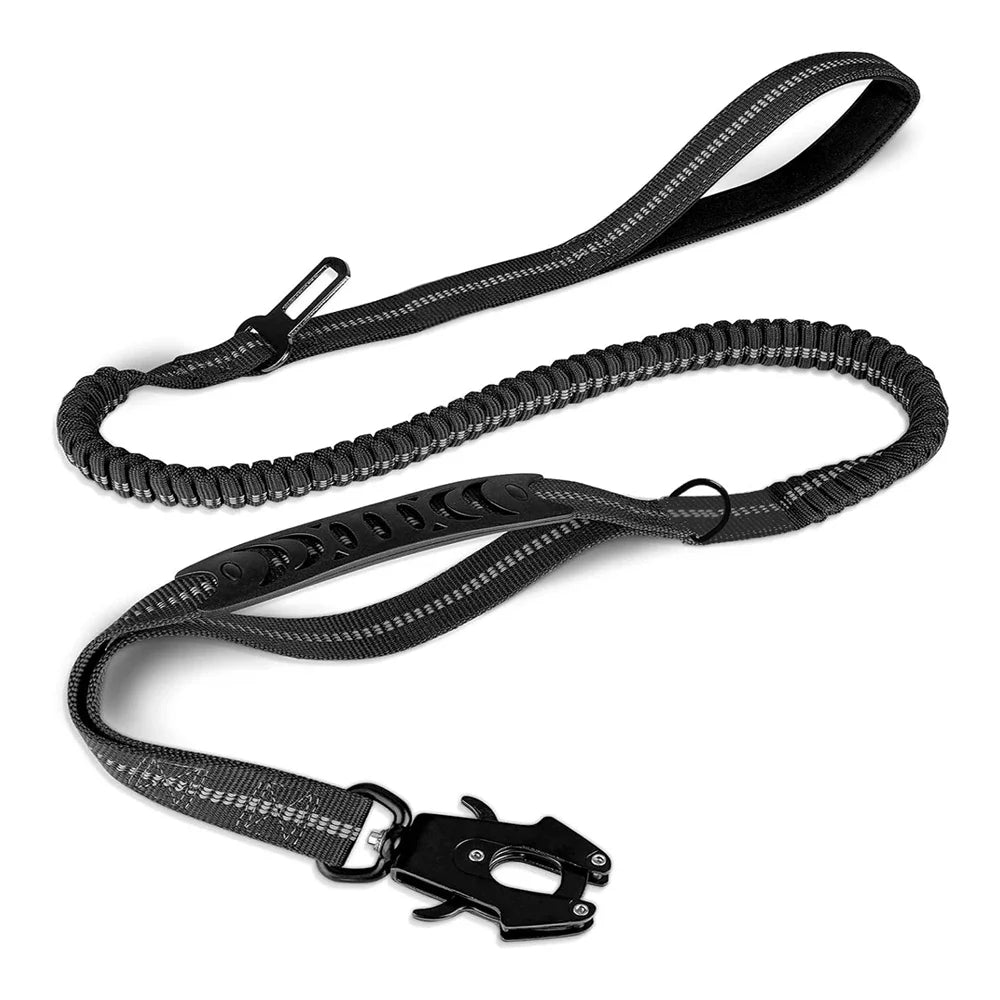 Shock-Absorbing Bungee Dog Leash with Car Seatbelt