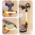 Waterproof LED Safety Light Dog Collar Pendant - view 4