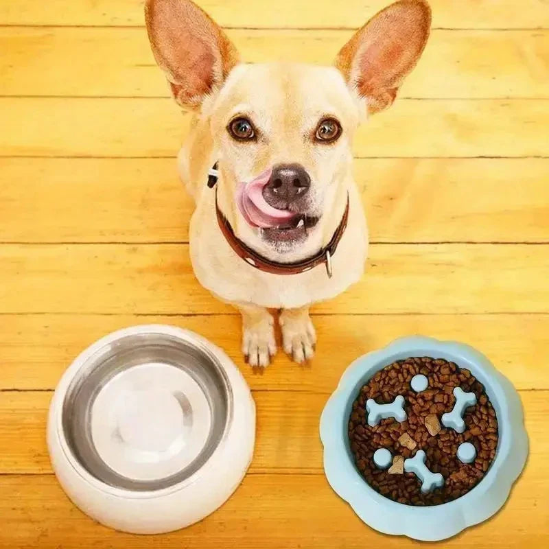 Puzzle Slow Feeder Bowl for Dogs and Cats - view 6