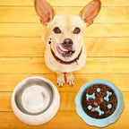 Puzzle Slow Feeder Bowl for Dogs and Cats - view 6