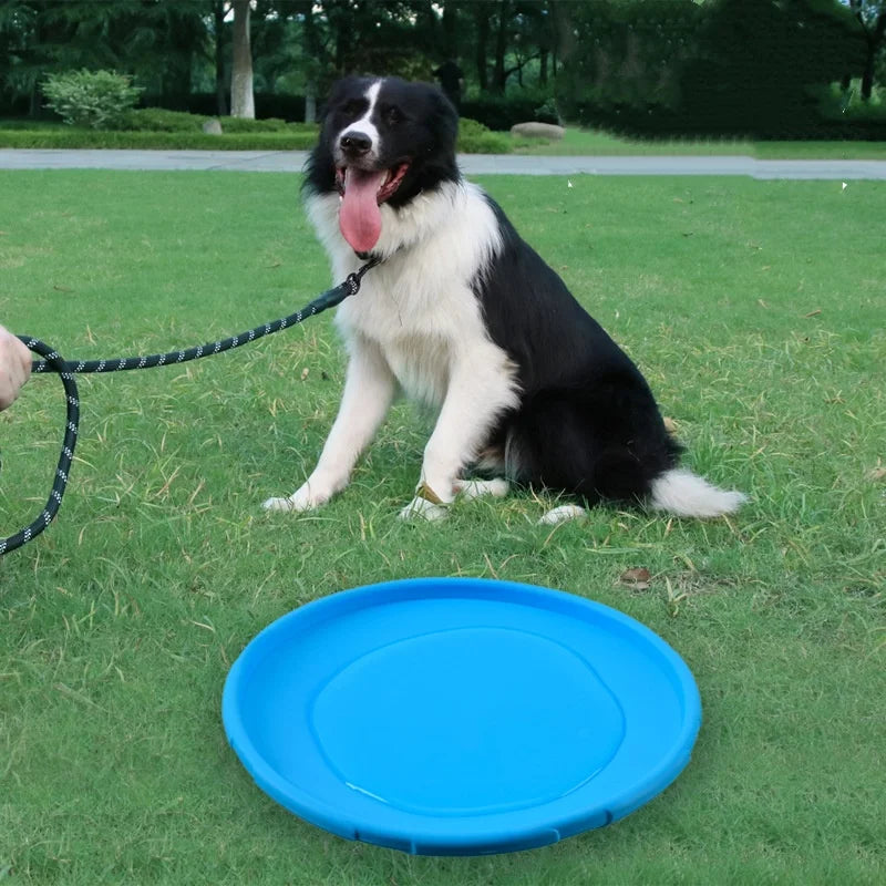Silicone Flying Disc Chew Toy for Dogs - view 4