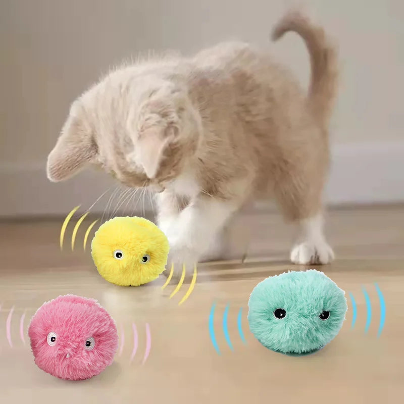 Interactive Squeaky Catnip Ball Cat Toy