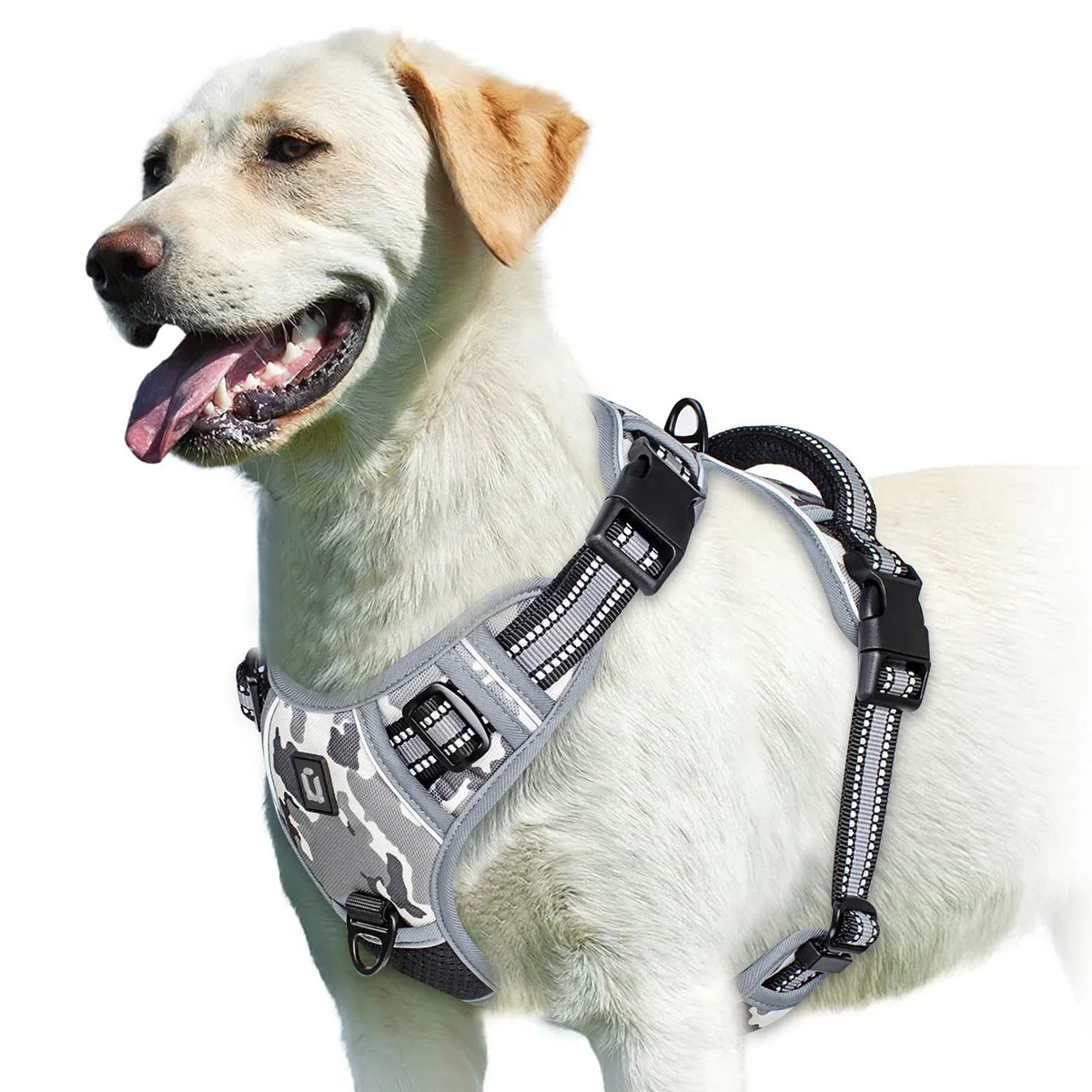 No-Pull Padded Dog Harness with Handle - view 12